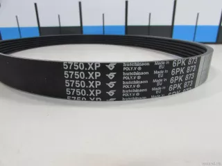 5750XP Ремень ручейковый Citroen Jumper 3 Арт E81101160, вид 3