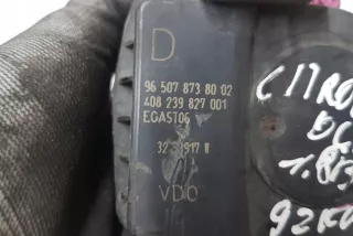 9650787380 Карбюратор Citroen C4 1 Арт AL17646641419_2, вид 2