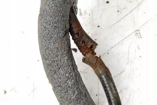 7036168 Замок двери BMW Z4 E85/E86 Арт AL17559597575_2, вид 9