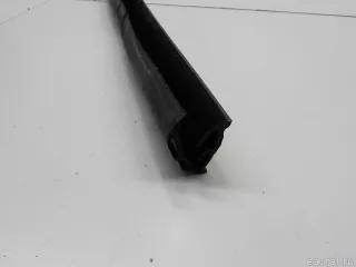 1855866 Уплотнитель стекла двери Ford EcoSport Арт E31302767, вид 5