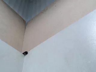 4F0959792E блок управления двери перед лев Audi A6 C6 (S6,RS6) Арт 25025040, вид 5