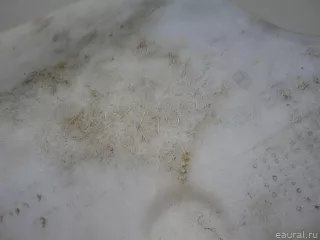 5116148 Бачок омывателя лобового стекла Ford Tourneo Арт E41267387, вид 3