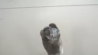 2041317,EV4T19G490BB Камера заднего вида Ford Kuga 2 Арт 20190371, вид 2