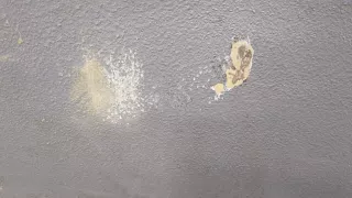 93400EA30J Борт откидной Nissan Navara D40 Арт 20076246, вид 2