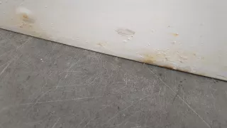 7751469196 Дверь сдвижная правая белая Renault Kangoo 1 Арт 20556214, вид 3