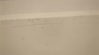 7751469196 Дверь сдвижная правая белая Renault Kangoo 1 Арт 20556214, вид 5