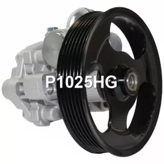 HPQ1025GQ,HPQ1025XQ,49401251,BN9R32600B,BN9R32600C,BN9R32600D,BP4M32600,BP4M32600A,BP4M32600B,BP4M32600C,P1025,P1025HG,400N10069Z Насос гидроусилителя руля Mazda 3 BK Арт А2222693402-5, вид 1
