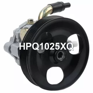 HPQ1025GQ,HPQ1025XQ,49401251,BN9R32600B,BN9R32600C,BN9R32600D,BP4M32600,BP4M32600A,BP4M32600B,BP4M32600C,P1025,P1025HG,400N10069Z Насос гидроусилителя руля Mazda 3 BK Арт А2222691203-5, вид 1