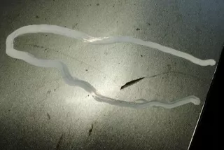 012220 Зеркало наружное правое Mazda 121 3 Арт e12219005, вид 3