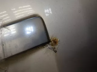 55396311AB Петля заднего стекла Jeep Grand Cherokee III (WK) Арт 11296431, вид 4