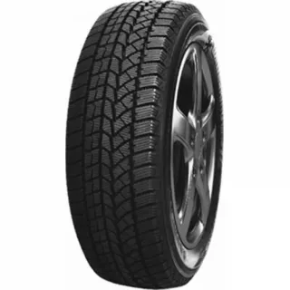  Зимняя шина Doublestar dw02 205/55 R16 91T Арт 3194767, вид 1
