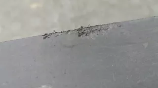 13473613 Накладка на порог Citroen C3 Aircross  Арт 20616160, вид 4