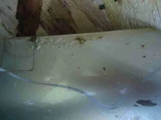  Капот Honda CR-V 3 Арт 00040043, вид 3