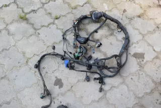 Проводка двигателя Kia Sorento 1 Арт T9085-17-98-1