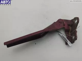  Петля капота правая Seat Toledo 2 Арт 53489017, вид 1