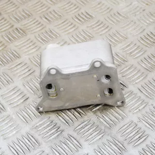 06L117021G , art460411 Радиатор масляный Audi A3 8V Арт 460411, вид 1