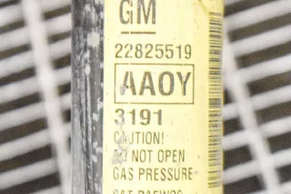 22825519 , art663294 Амортизатор задний левый Chevrolet Volt Арт 663294, вид 6