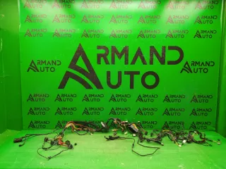 242106065r Проводка моторного отсека Nissan Terrano 3 Арт ARM114330, вид 1