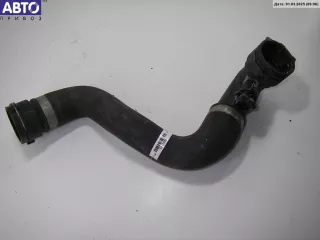 17123413819 Патрубок радиатора BMW X3 E83 Арт 53173951, вид 2