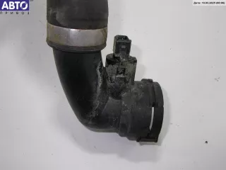 17123413819 Патрубок радиатора BMW X3 E83 Арт 53173951, вид 3