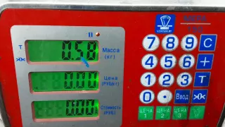 7L5953507E,7L5953549B Переключатель поворотов и дворников (стрекоза) Porsche Cayenne 955 Арт EMA02Q801, вид 7