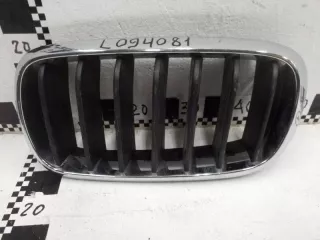 51117316075 Решетка радиатора левая хром BMW X5 F15 Арт L094081, вид 1