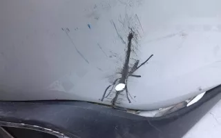521590E060 Бампер задний Toyota Highlander 3 Арт 998318L, вид 2