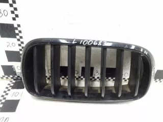 51712334710 Решетка радиатора BMW X5 F15 Арт L100683, вид 1