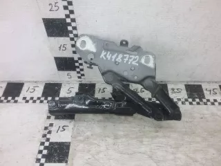 41617475792 Петля капота правая BMW X3 G01 Арт K418772, вид 1