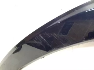 A1668846522 Расширитель крыла Mercedes GL X166 Арт lz34406, вид 3