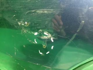 51128091992 Бампер бмв х3 (х x 3) г01 (г g 01) BMW X3 G01 Арт ARM177179, вид 4