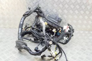 7171-4924-30 , art953312 Проводка двигателя Honda Odyssey 6 Арт 953312, вид 1
