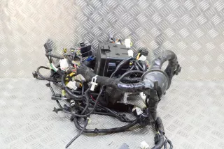 7171-4924-30 , art953312 Проводка двигателя Honda Odyssey 6 Арт 953312, вид 2