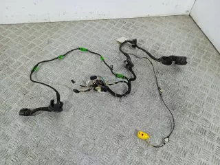 4F1971029A Проводка двери передней левой Audi A6 C6 (S6,RS6) Арт 46023015049, вид 1
