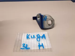 5167981 Петля двери задней левой нижняя Ford Kuga 2 Арт ZAP217225, вид 2