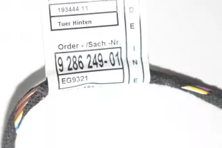 9286249, 9286210 , art775523 Проводка двери BMW 3 F30/F31/GT F34 Арт 775523, вид 4