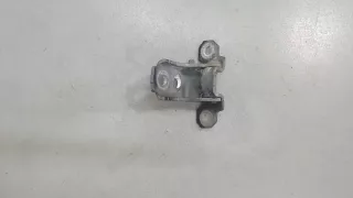 804000017R Петля двери задней правой синяя Renault Megane 3 Арт 6626524