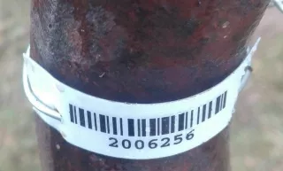  Глушитель Hyundai Accent LC Арт 2006256, вид 2