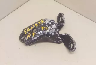  петля двери передней левой Hyundai Sonata (EF)  Арт 2039456, вид 1