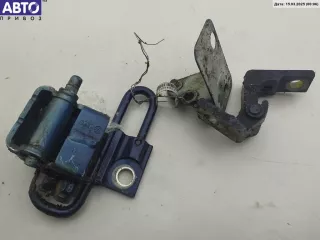 1J0831402C, 1J4833412C Петля двери задней правой Seat Leon 1 Арт 53256453, вид 1