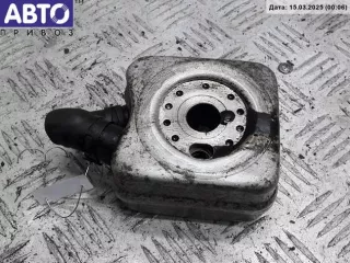 028117021L Радиатор масляный Volkswagen Golf 5 Арт 53900472, вид 2