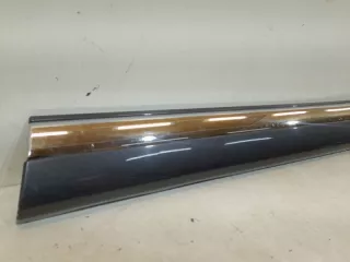7507160120C1 Накладка двери Toyota Land Cruiser 200 Арт VZ159155, вид 3