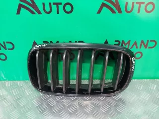 51712334708, 7316057 решетка радиатора BMW X5 F15 Арт ARM218900, вид 1