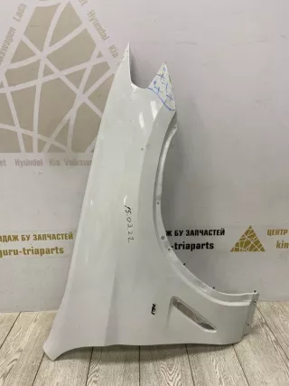 41007491382 Крыло белое BMW X3 G01 Арт TP1305, вид 1