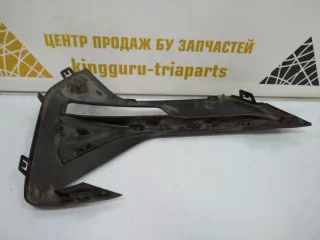 51117954250 Решетка бампера BMW X1 F48 Арт TP7397, вид 4