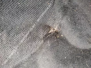 3C1863367C Ковер салонный Volkswagen Passat B6 Арт 00034265, вид 18