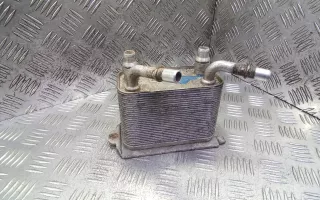  Теплообменник бензиновый Land Rover Range Rover 3 Арт 4BA04TP01, вид 1