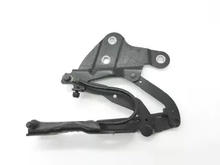 2990359 , art3025788 Петля капота BMW X1 E84 Арт 3025788, вид 1