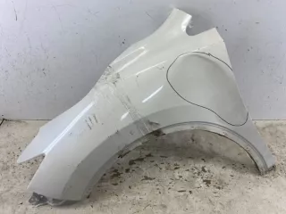 F31015BFMA крыло Nissan Murano Z51 Арт VZ168899, вид 1