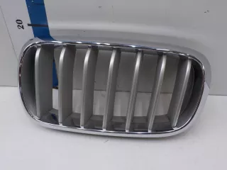 51137316053 Решетка радиатора BMW X6 F16 Арт BIT620332, вид 1
